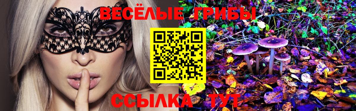 Галлюциногенные грибы Psilocybine cubensis Курган